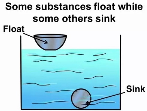 Floating and Sinking - Science and Technology Grade 4