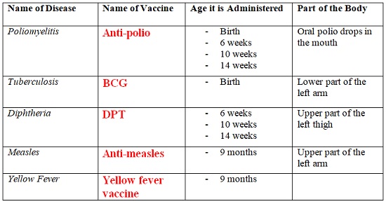 Female Reproductive System