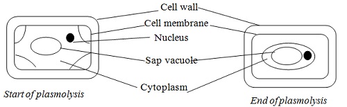 Biology Question