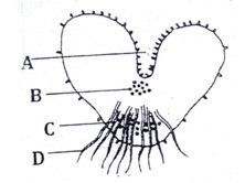 Biology Form 4 Question