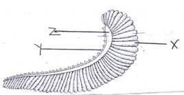 Biology Form 4 Question