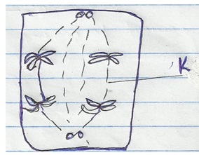 Biology Form 4 Question