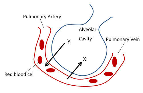 Form 4 Biology Question