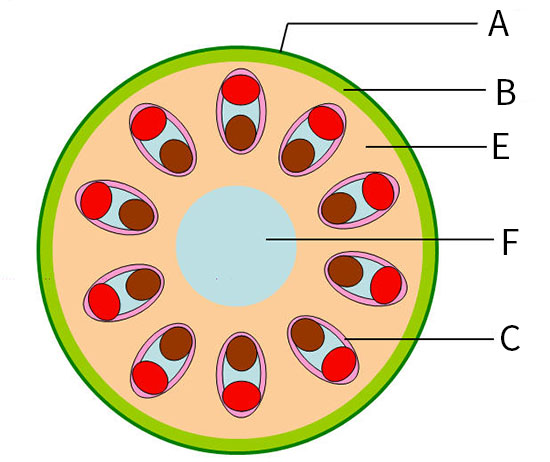 Form 4 Biology Question