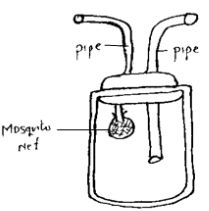 Pooter Apparatus and Its Mosquito Net Functionality
