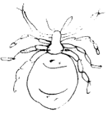 Identifying the Organism Class and Reasons