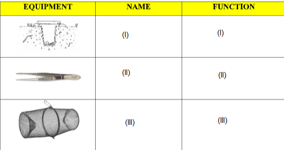 Laboratory Equipments in Biological Studies