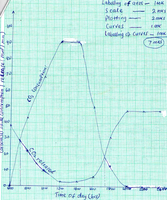 Analyzing Carbon Dioxide Dynamics in Plant Processes