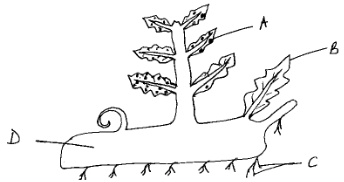 Plant Identification ,Labeling and Classification