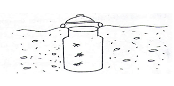 Specimen Collection Apparatus Identification and Use